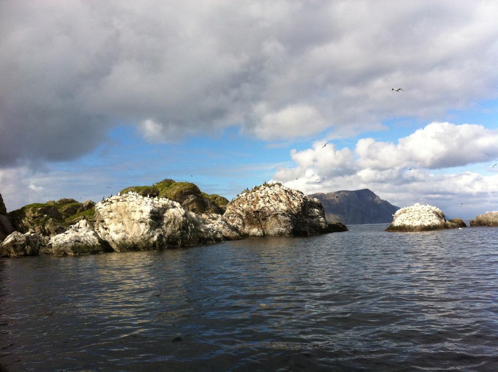 Buodden Rorbuer - Fisherman Cabins Sorvagen Exterior photo